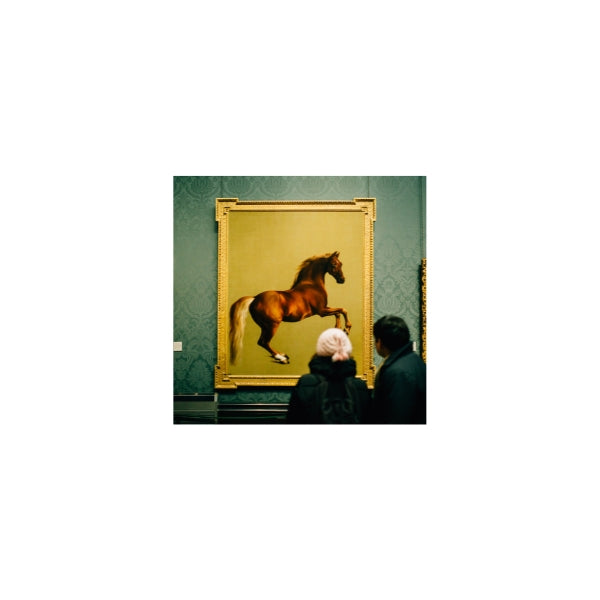 Stubbs painting of Whistlejacket