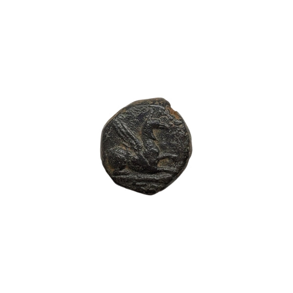 Ancient Greek Bronze Coin of Griffin 264-241 BC