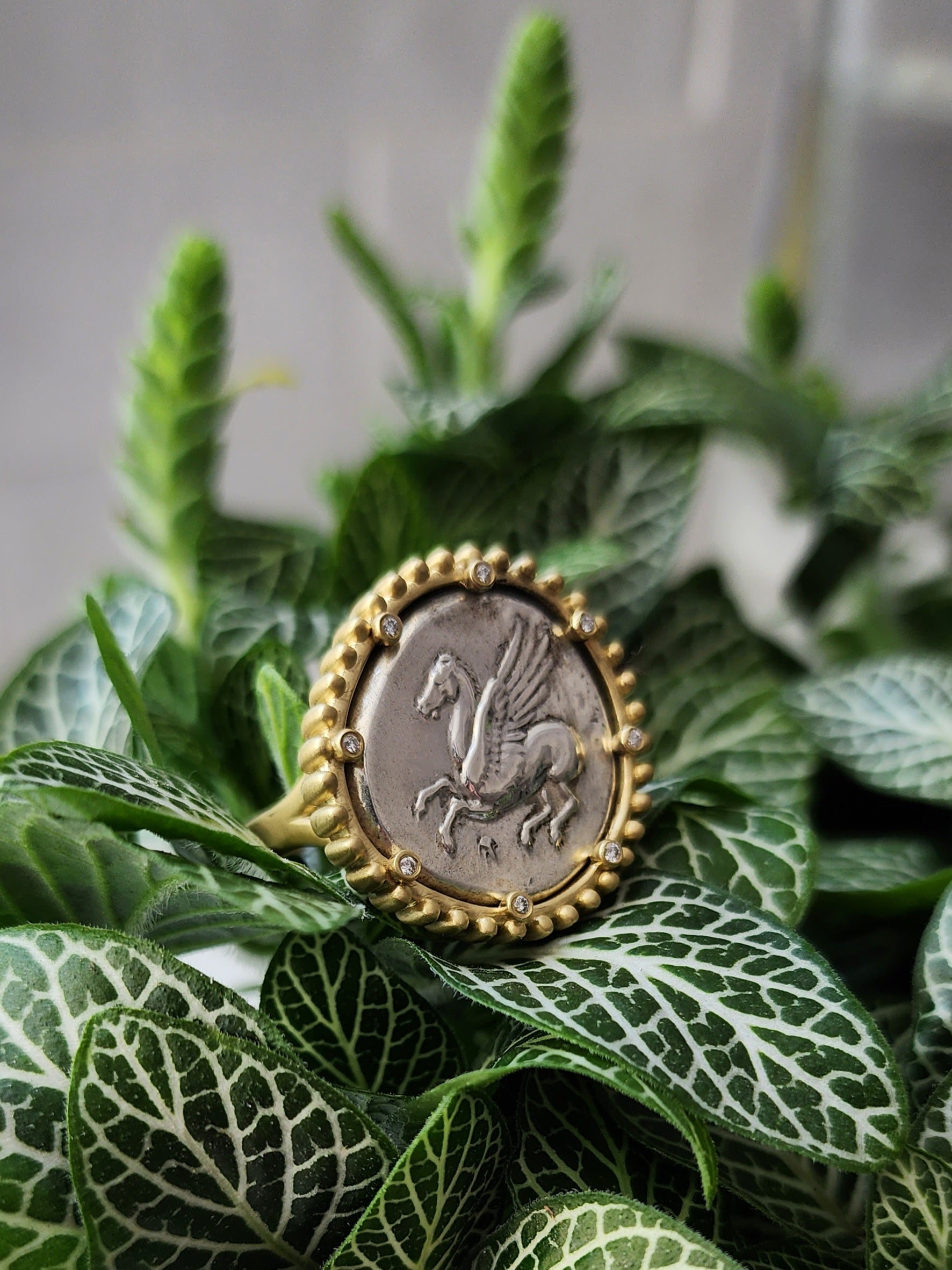 Corinthian stater Pegasus ring.  18kt gold ring.