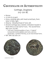 Ancient Greek bronze coin of a horse, looking over its shoulder.  The goddess Tanit on the back.  Certificate